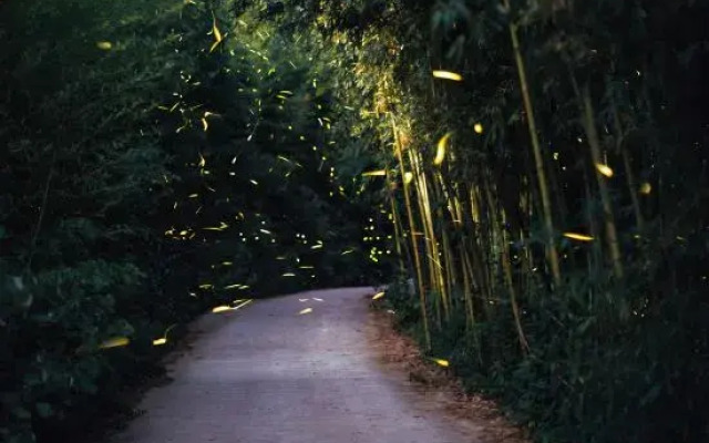 Yunqiju · Moganshan Guesthouse (Firefly Base)