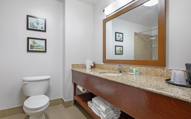 Comfort Suites DFW North/Grapevine