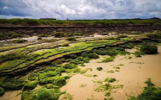 The Cuddly Cow Cosy Barn Studio Campview Farm Stay