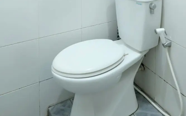 D' Paragon Bulusan