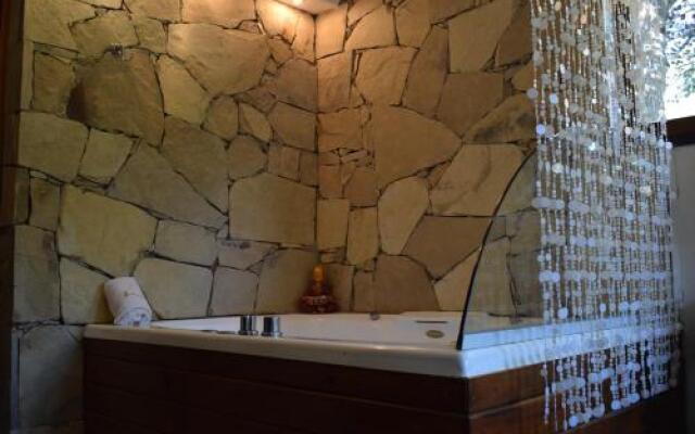 Abedul Mar De Las Pampas