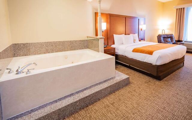 Comfort Suites Houston near Medical Center- NRG Stadium