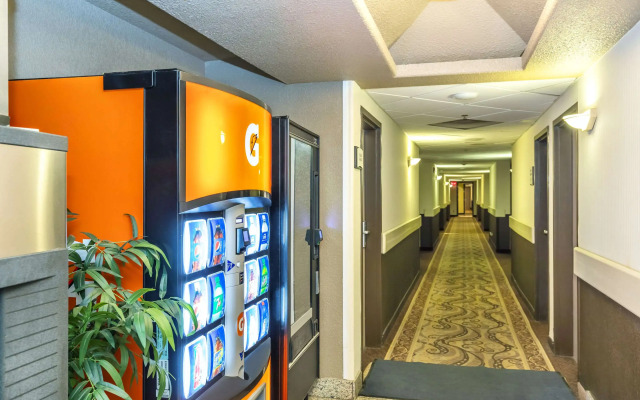 Quality Inn and Suites