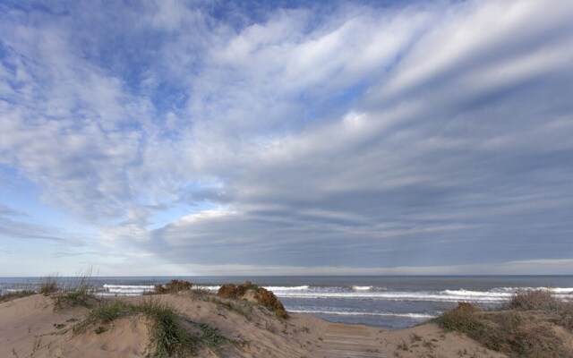 Dunas DE Oliva