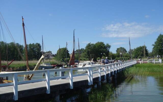 Captain House South Cats 8