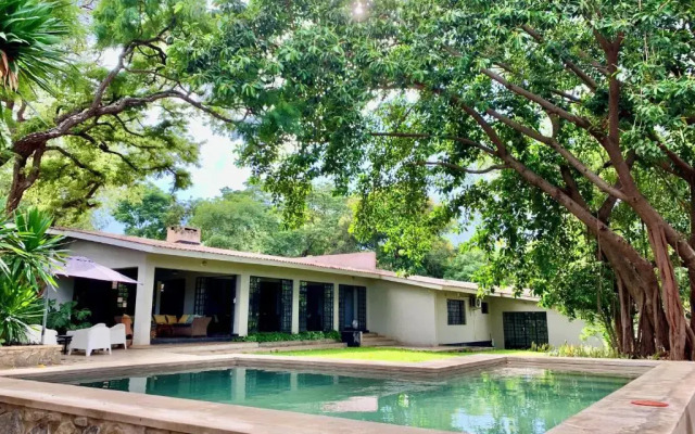 Mitengo House