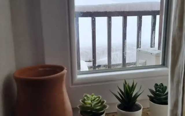 "skopelos- Iris - Your Traditional Home"