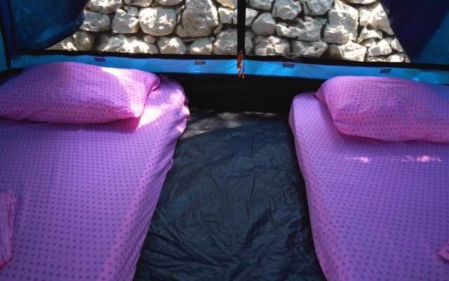 Social Camping JAL