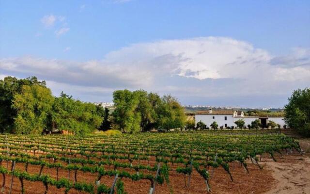 Casa Rural Finca Buytrón