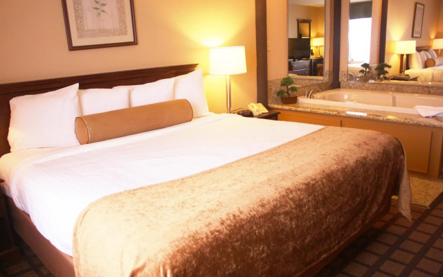 Best Western Inn & Suites Merrillville