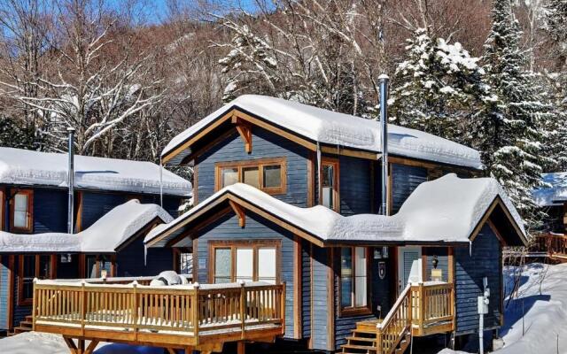 Chalets Alpins - 10 Chemin Blanc