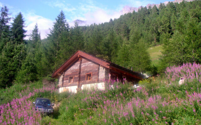 Chalet Epilobes