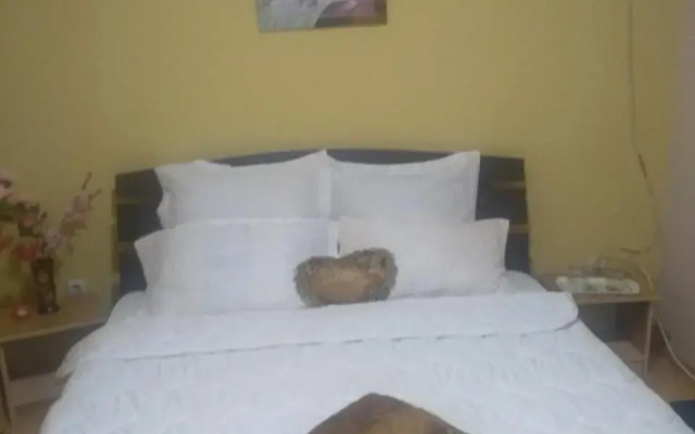 Pensiune Perla Dunarii