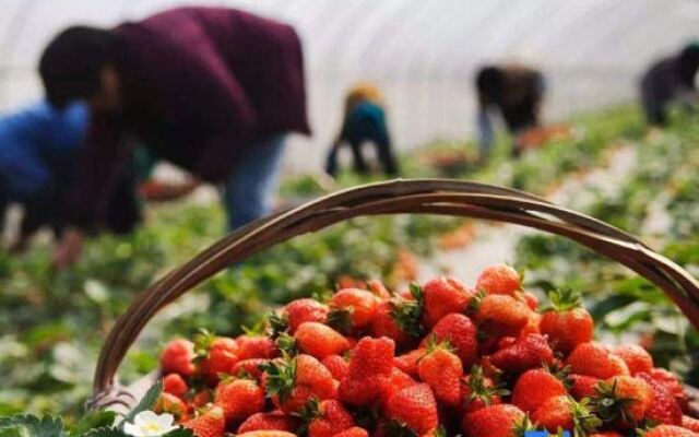 Yunmeng Resort Hotel