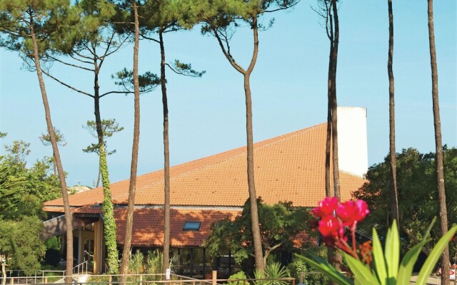 Cozy Mobile Home Located in Some Beautiful Dune Surroundings