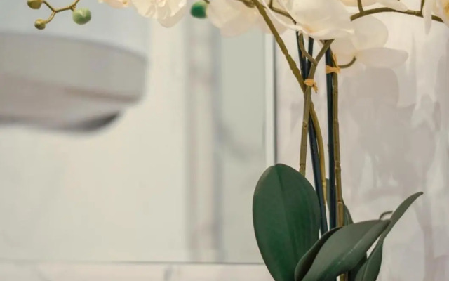 Lovely 1 Bedroom Apartment 5min FROM THE SKI LIFT!