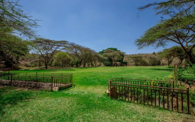 Maasai Lodge