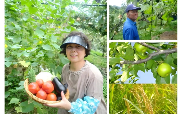Minshuku Ryokan Miuraya