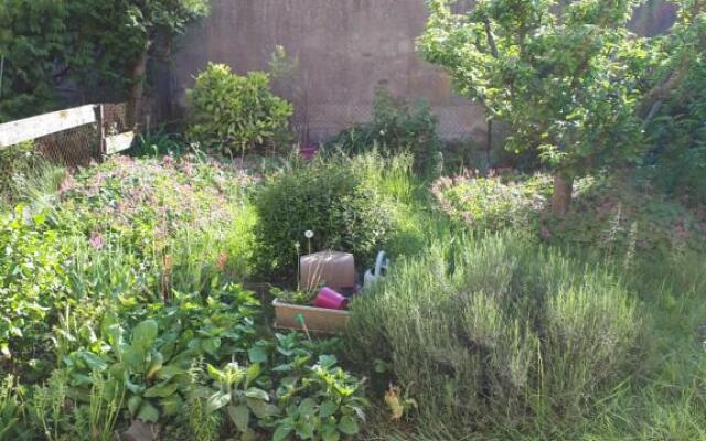 25 Rue Raymond Braillard