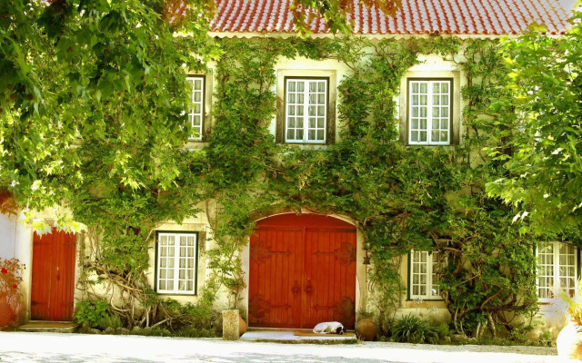 Quinta da Alcaidaria Mór