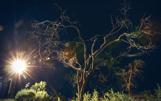 Ghanerao Jungle Lodge