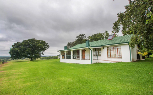 Hoyo Hoyo Machadostud Lodge