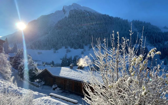 Appartement cosy au pied des pistes