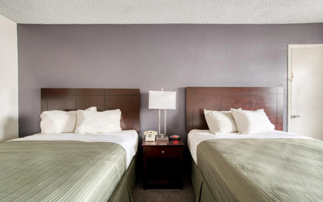 OYO Hotel Alexandria LA - Hwy 165