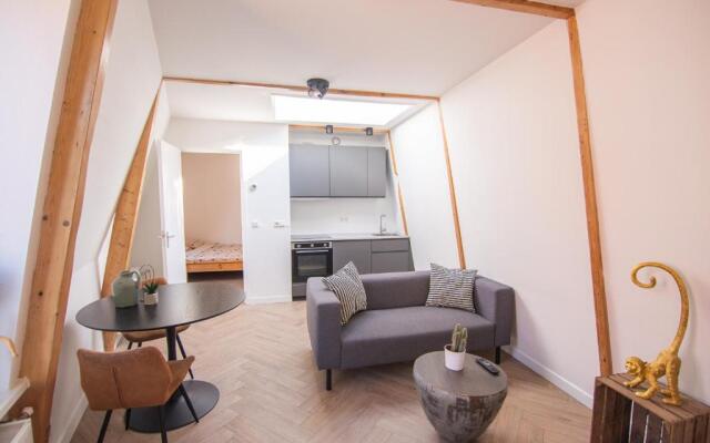 Appartement in binnenstad/centrum van Leeuwarden