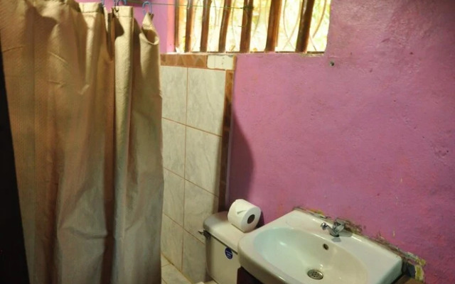 The Howler Monkey Hotel