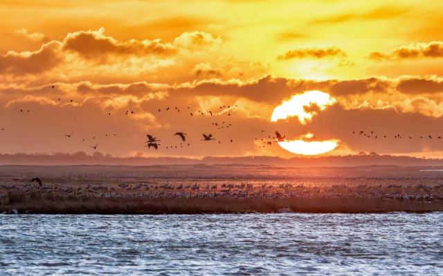 Sonnendeck im Luftkurort Klink