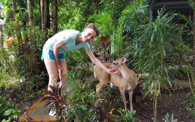 Hotel La Posada and Jungle