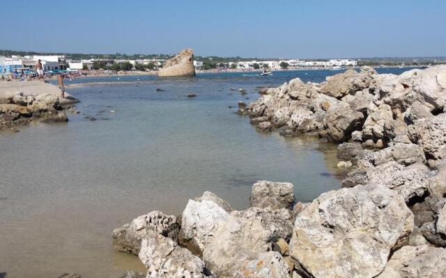 Cuore di mare