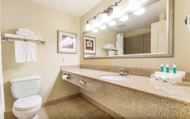 Holiday Inn Express & Suites Lagrange I-85 by IHG