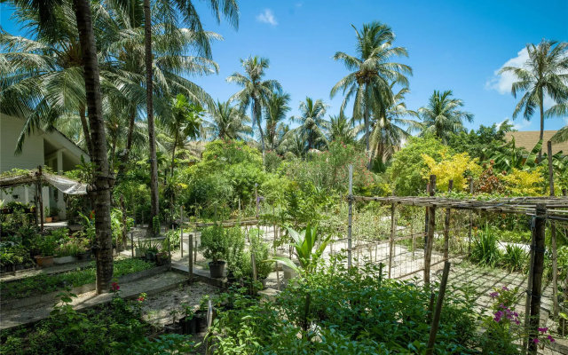 SAii Lagoon Maldives, Curio Collection by Hilton