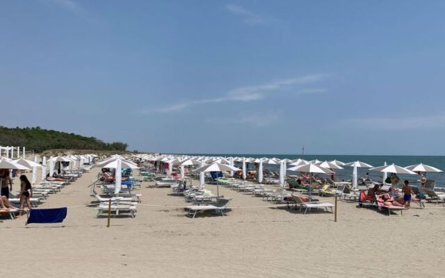 Mare Pineta 42191