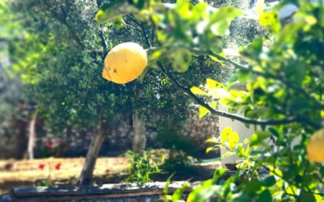 Room in B&B - Albania Dream Holidays Room Ksamil