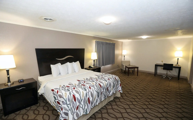 Red Roof Inn Lexington - Hamburg