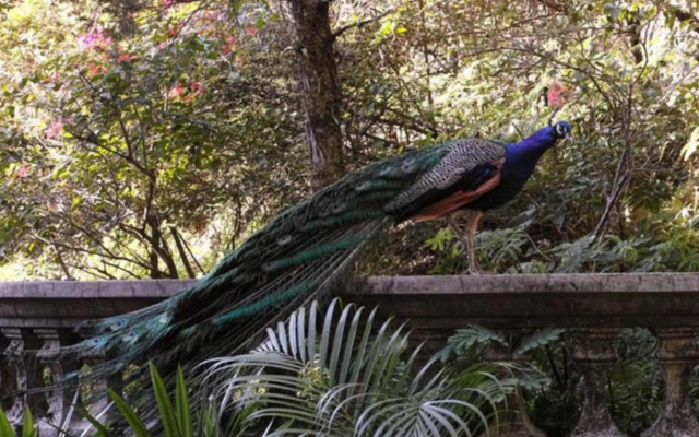 Kaliandra Sejati Eco Resort