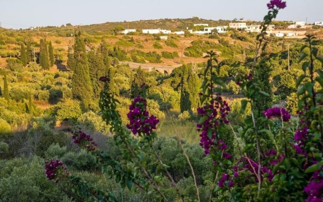 Celestia Traditional Houses