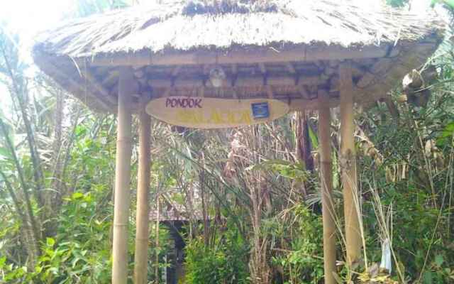 Pondok Salacca#bamboohouse#