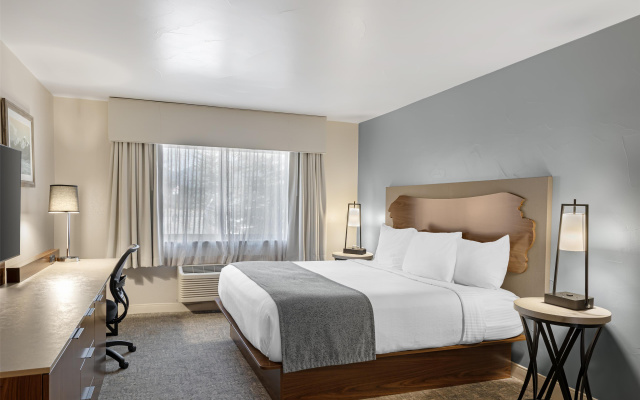 Best Western Vista Inn