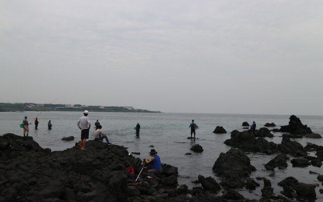 Blue Island Guesthouse - Hostel