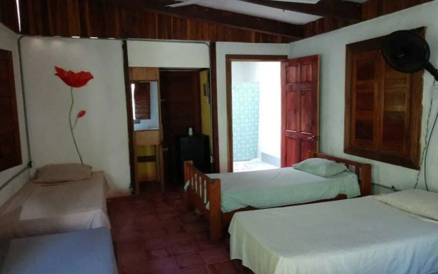 Tasty Dayz Hostel