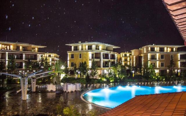 Dreamland Oasis of happiness