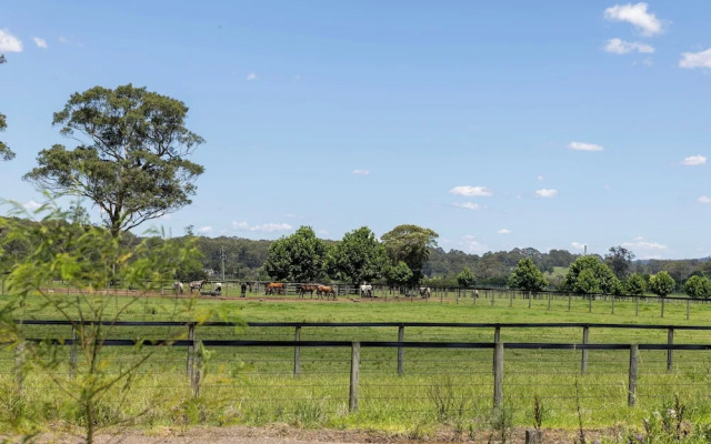 Room in Studio - Nice Studio on Jasmine