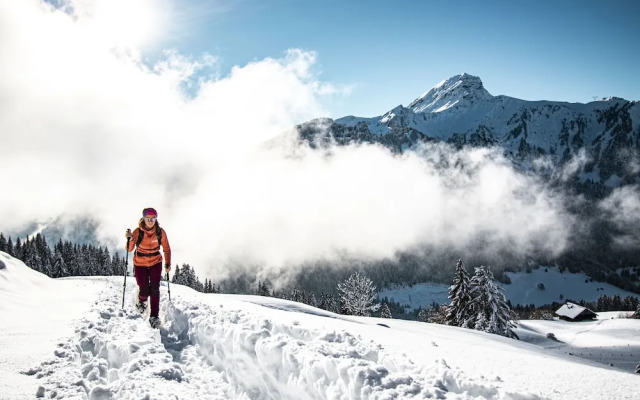 Châtel Réservation