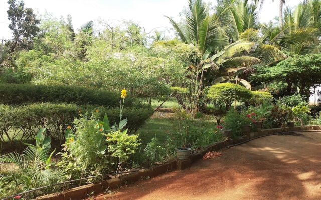 Sigiriya Pikaso Homestay