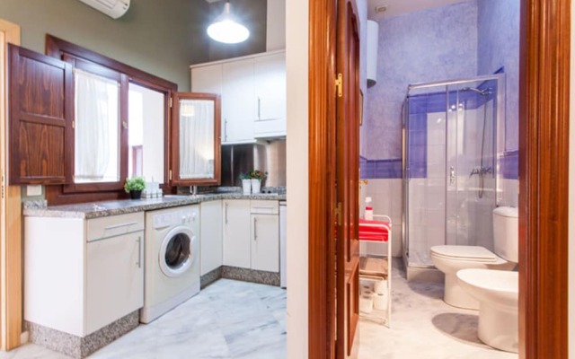 Deluxe apartment Galindo