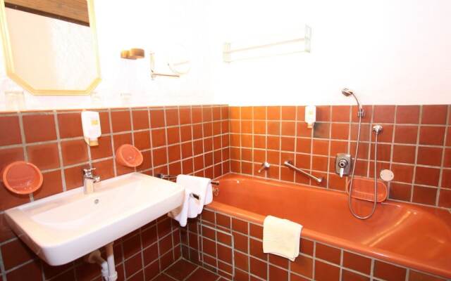 Spacious Apartment in Ramsau am Dachstein With Swimming Pool